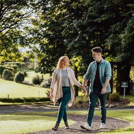 Millbrook Lodge Ballynahinch Εξωτερικό φωτογραφία